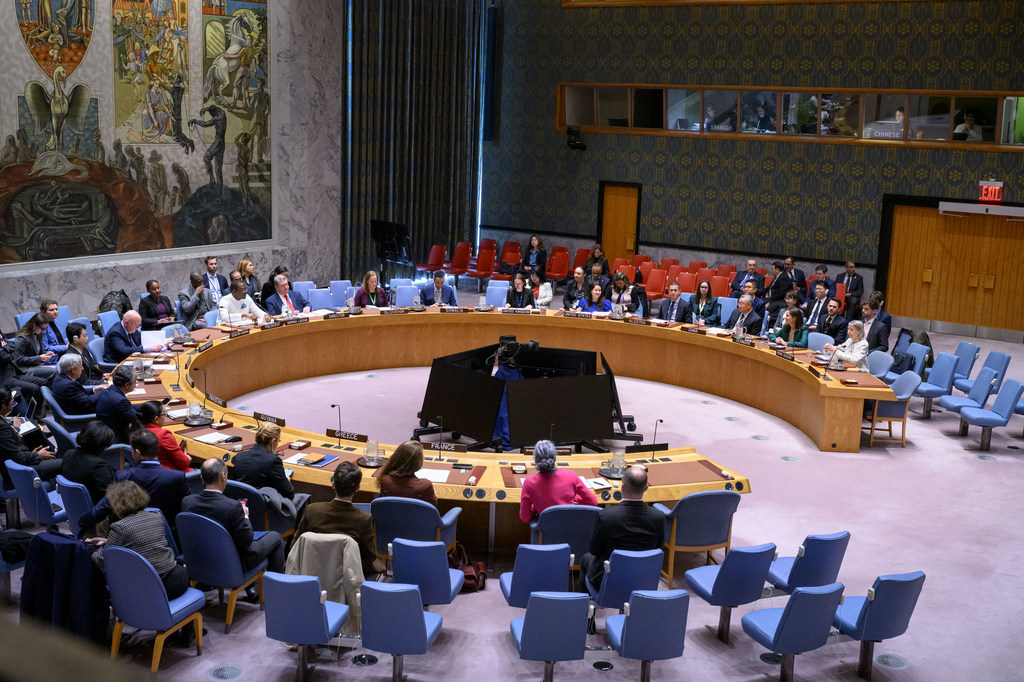 安全理事会关于工作方法的会议全景。